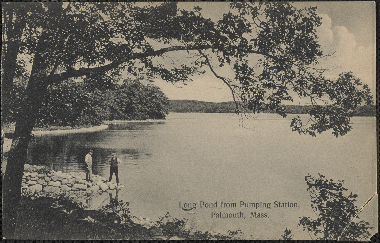 Long Pond from Pumping Station, Falmouth, Mass. Digital Commonwealth