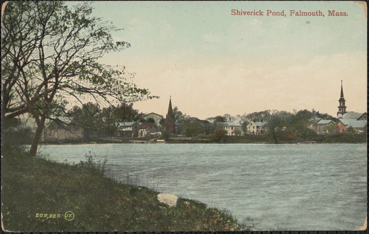 Shiverick Pond, Falmouth, Mass. - Digital Commonwealth