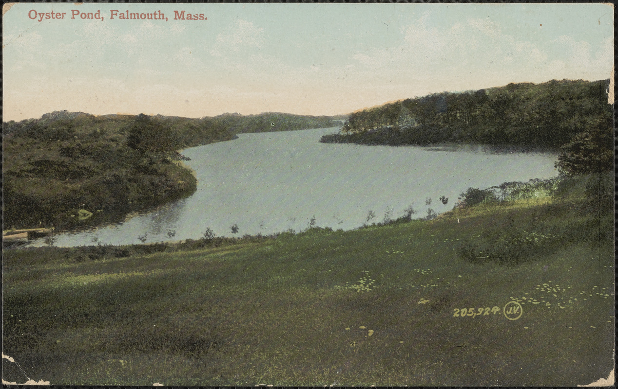 Oyster Pond, Falmouth, Mass. - Digital Commonwealth