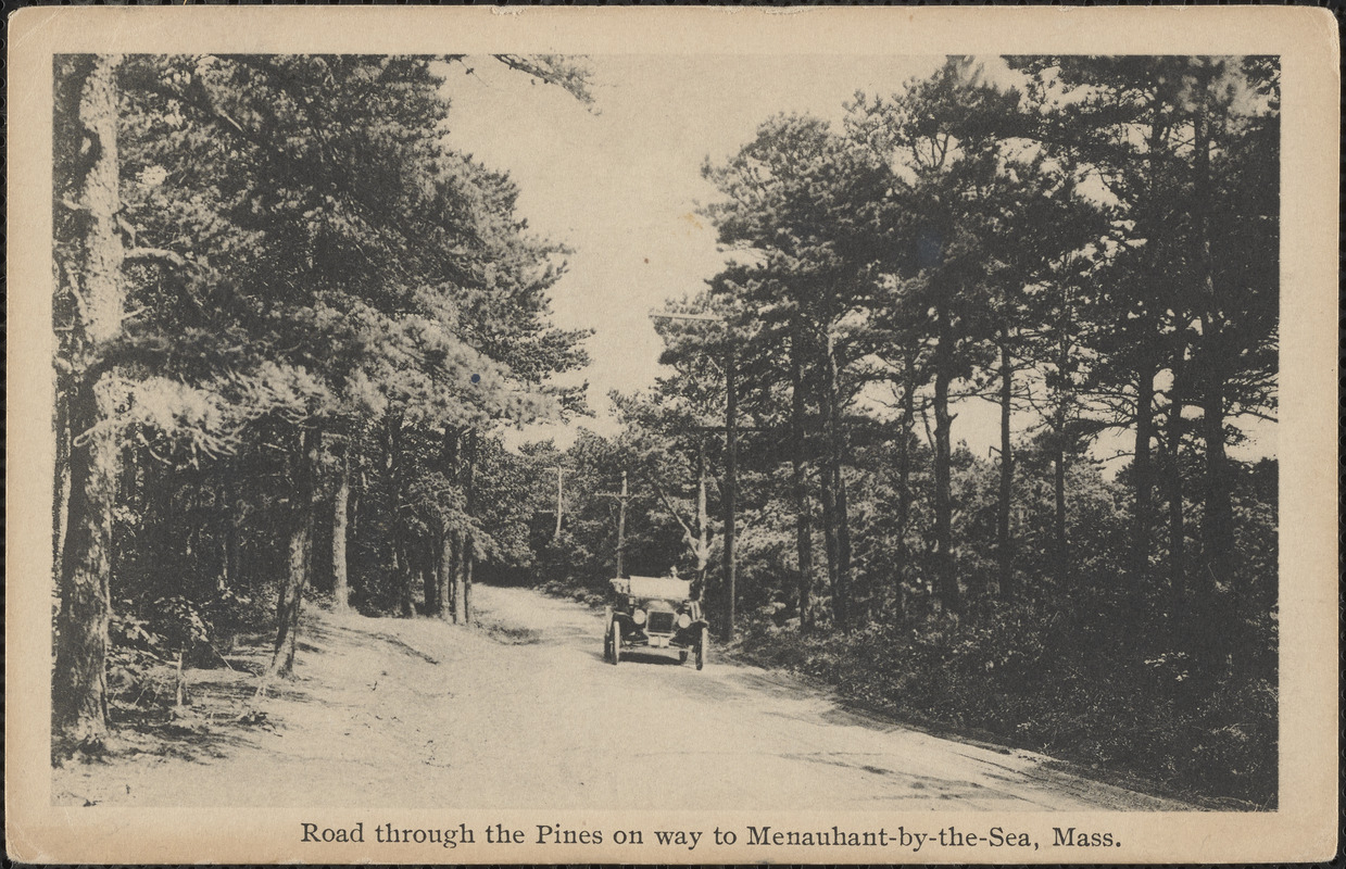 Road through the Pines on way to Menauhant-by-the-Sea, Mass.