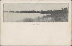 Flax Pond