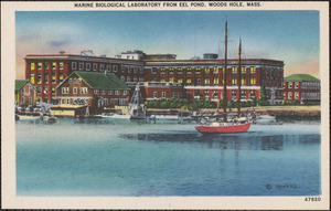 Marine Biological Laboratory from Eel Pond, Woods Hole, Mass.