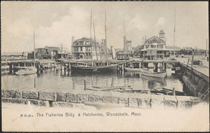 The Fisheries Bldg. & Hatcheries, Woodshole, Mass.