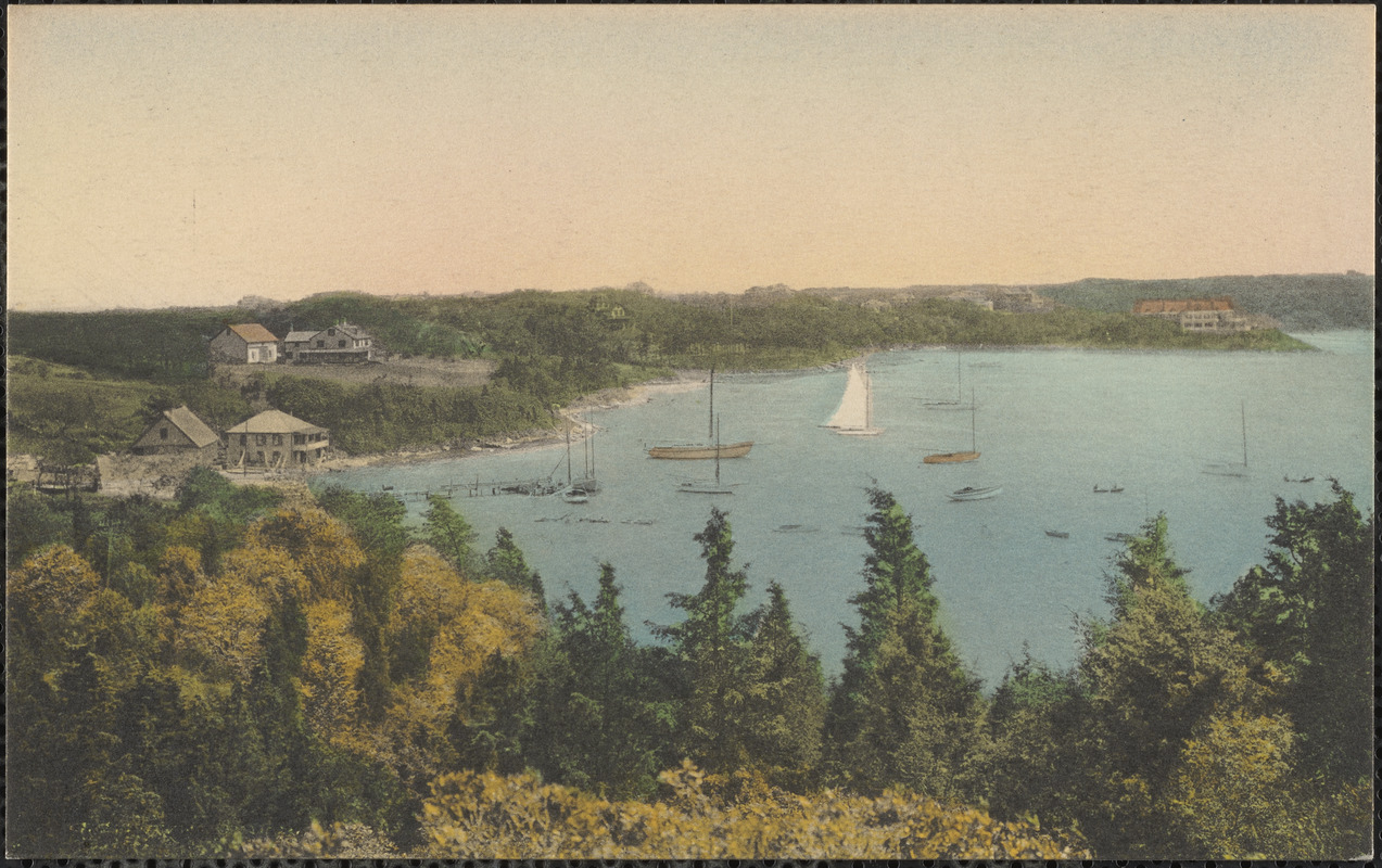 The Harbor Quissett, Cape Cod, Mass.