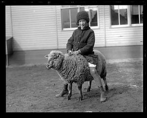 A girl riding a sheep