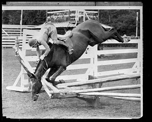 Horse jumping accident