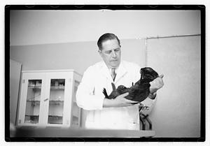 Dr. Dailey Angell Memorial Animal Hospital