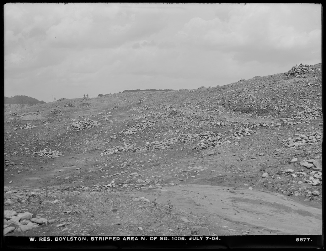 Wachusett Reservoir, stripped area north of square 1005, Boylston, Mass., Jul. 7, 1904