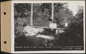 Beaver Brook at weir below Pepper's mill pond dam, Ware, Mass., 8:25 AM, May 29, 1936