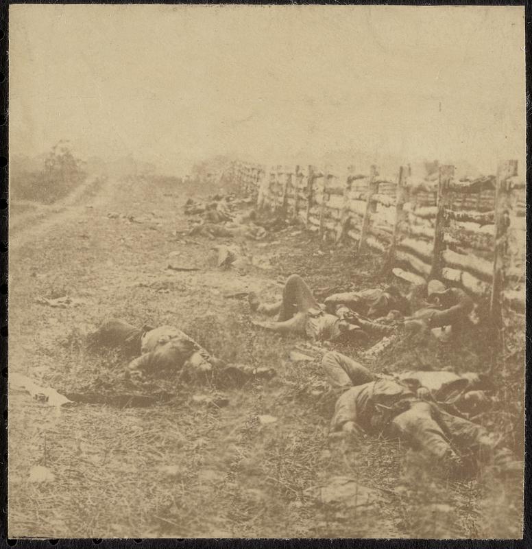 On the Antietam battlefield