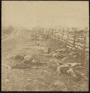 On the Antietam battlefield