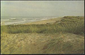 Sand, sea and beach grass on outer Cape Cod