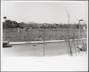 Madison Park Court, Roxbury, Boston