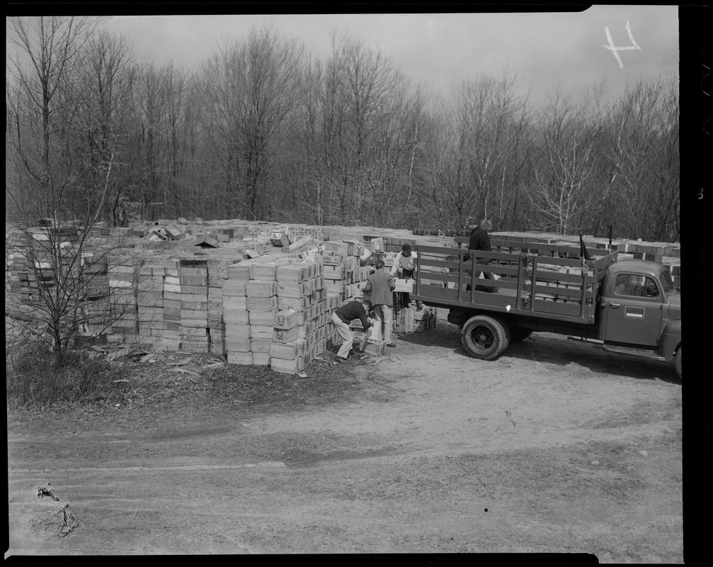 People loading boxes onto a truck