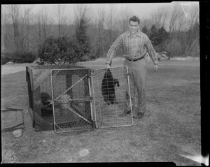 Man holding beaver by tail next to other beaver in cage