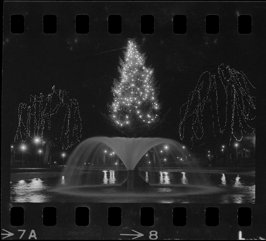 Christmas decorations on Boston Common