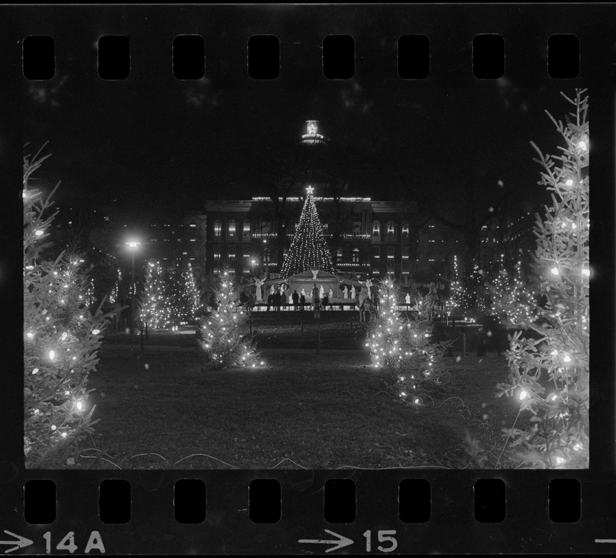 Christmas decorations on Boston Common