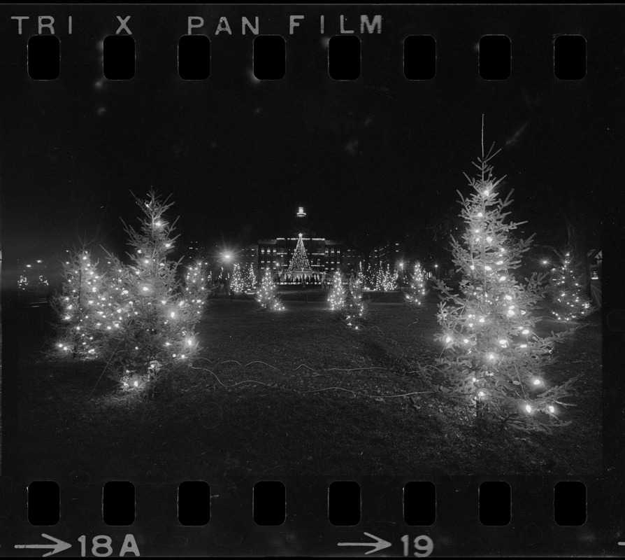 Christmas decorations on Boston Common