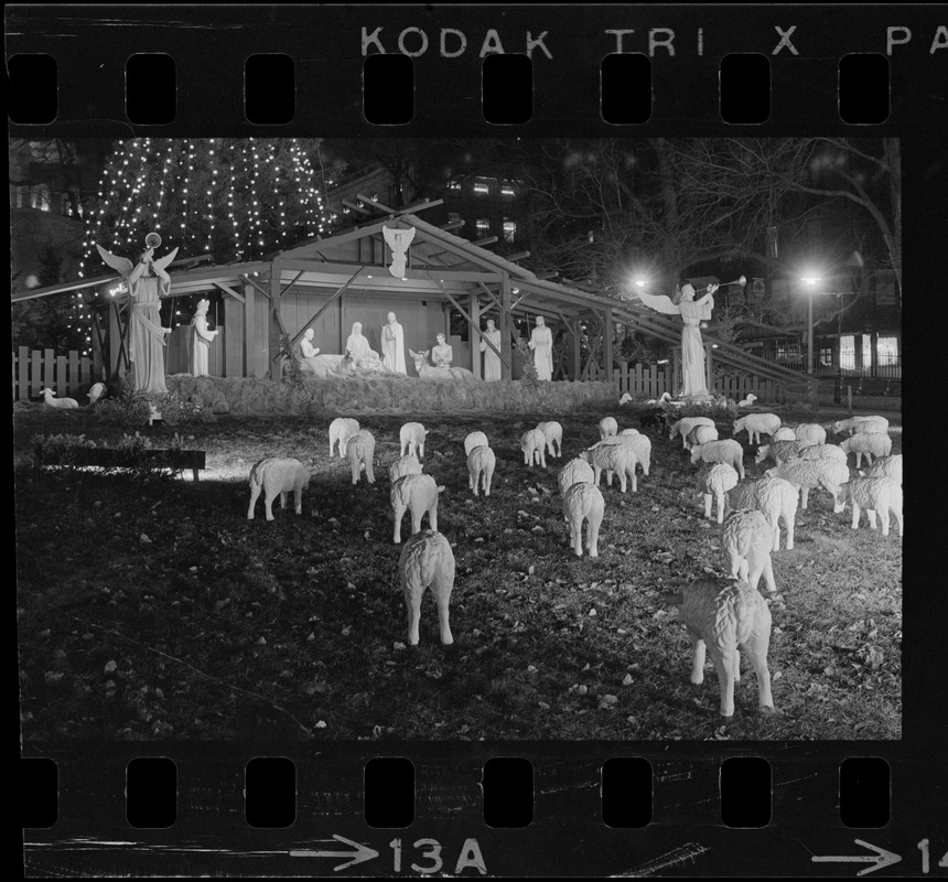 Christmas decorations on Boston Common