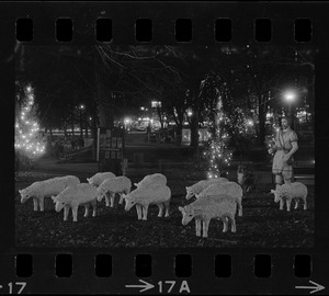 Christmas decorations on Boston Common