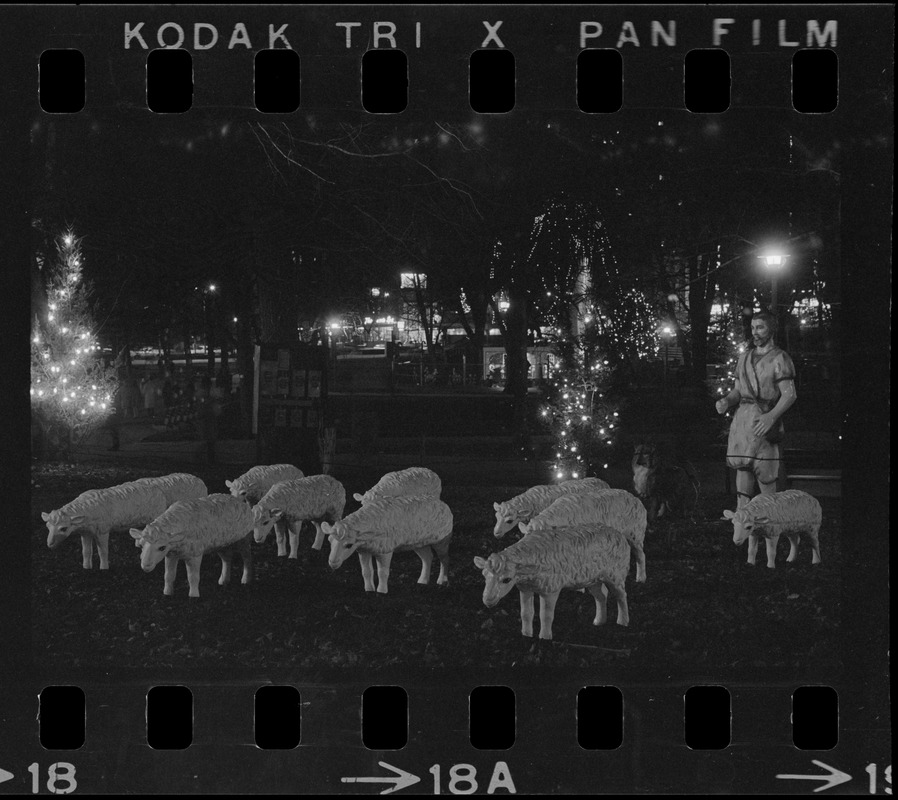 Christmas decorations on Boston Common