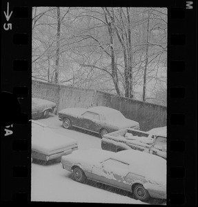 Parked cars covered with snow during storm