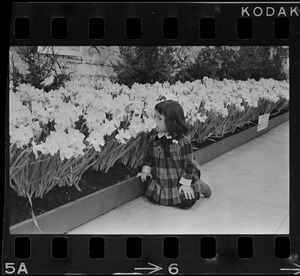 Girl smelling flowers at War Memorial Auditorium