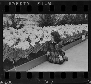 Girl smelling flowers at War Memorial Auditorium