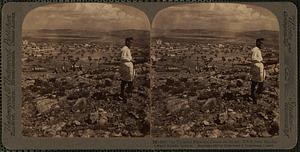 The Thriasian Plain and Eleusis on the bay, E.S.E. from Mandra towards Athens, Greece