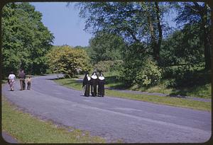 Nuns, Arnold Arboretum