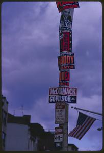 Pole with political signs