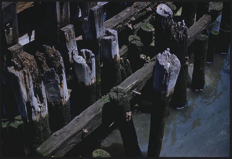 View of pilings