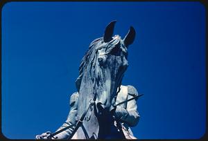 [George] Washington's horse - head