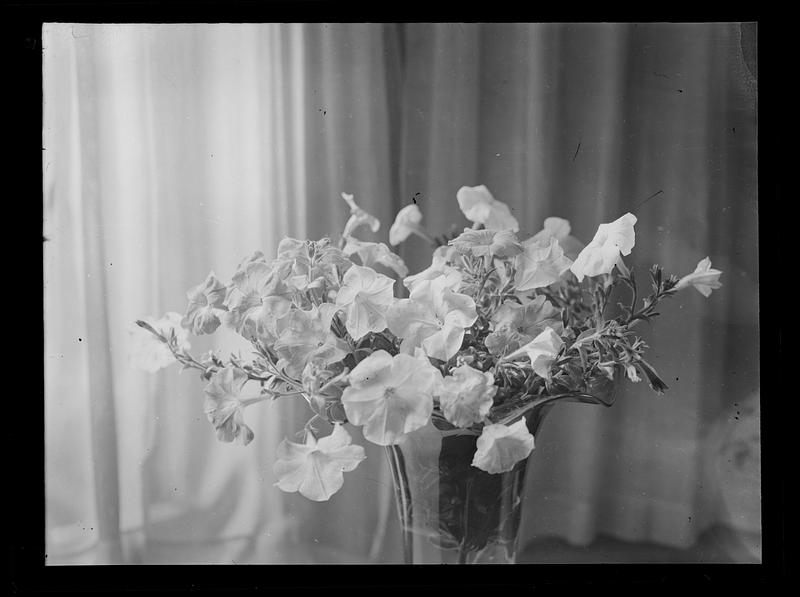 Flowers in vase