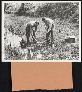 Dynamiting for Proper Drainage. In this "before the blast" soene, the man on the right is sinking a hole along the center-line of the proposed ditch of larger dimensions. Holes sunk along this center line will each be loaded with two sticks of dynamite. The man in the left carries a measuring stick to space the holes 18 inches apart.