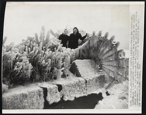 Frosty 'Cactus Garden'-- These odd formations, resembling a sub-tropical cactus garden, were caused by the frozen spray along the Lake Michigan Shore. Viewing the oddities are Cecilia Lockwood (left) and Jeanne Smith, students at Mundelein College.