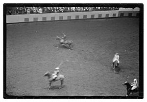 Gen. Needham polo