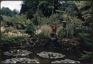 Pond with bridge, small waterfall, and water lilies in a Japanese garden, British Columbia