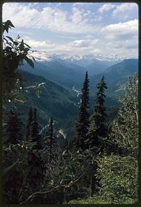 View of green hills and snow-capped mountains beyond trees and vegetation