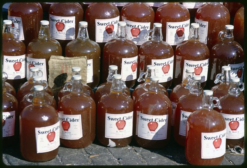 Rows of apple cider jugs - Digital Commonwealth