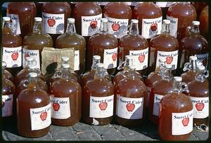 Rows of apple cider jugs