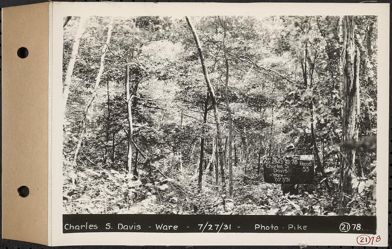 Contract No. 21, Portion of Ware-Belchertown Highway, Ware and Belchertown, land of Charles S. Davis, Plan No. S-6 Ware, Mass., Jul. 27, 1931