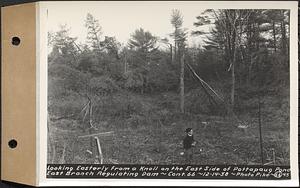 Contract No. 66, Regulating Dams, Middle Branch (New Salem), and East Branch of the Swift River, Hardwick and Petersham (formerly Dana), looking easterly from a knoll on the east side of Pottapaug Pond, east branch regulating dam, Hardwick, Mass., Dec. 14, 1938