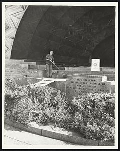 Ruined Shrubs in front of hatch shell- from 'rock concert' the night before.