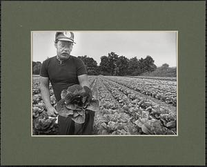 John Bauer with cabbage