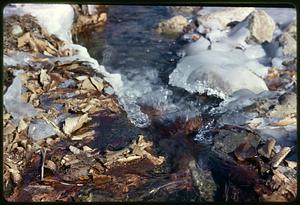 Melting ice and dead leaves by running water