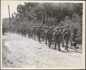 Marine dog patrols, Guam