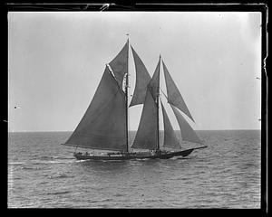 Fishing schooner
