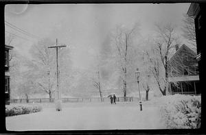 Snowy scene