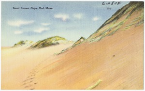 Sand dunes, Cape Cod, Mass.